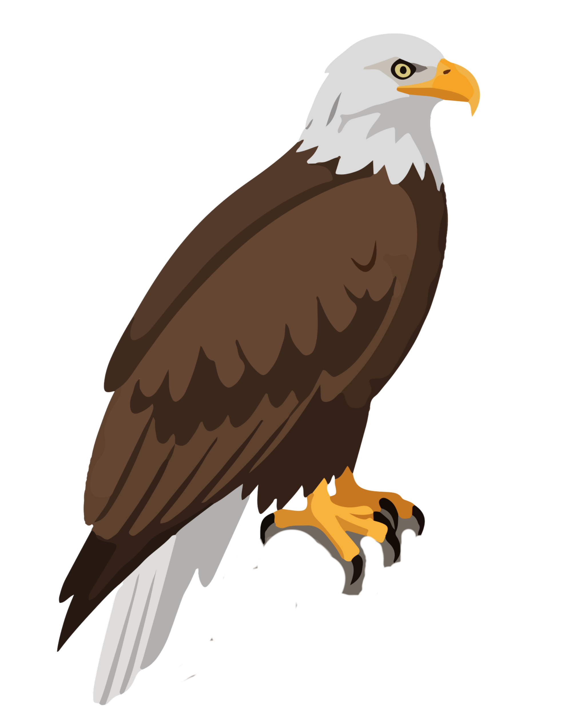 Eagle